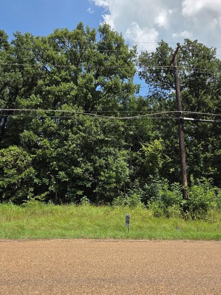 0 acres in Henderson County - photo 2