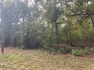 0.23 acres in Henderson County - photo 3