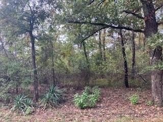 0.23 acres in Henderson County - photo 2