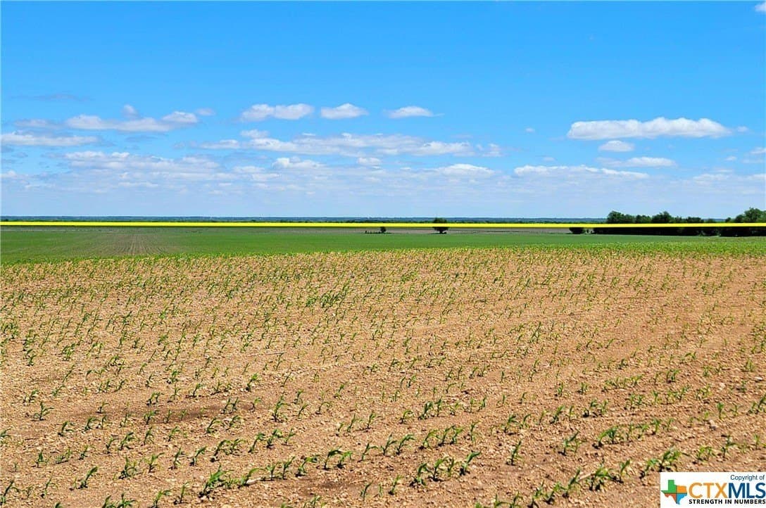 139.88 acres in McLennan County - photo 8