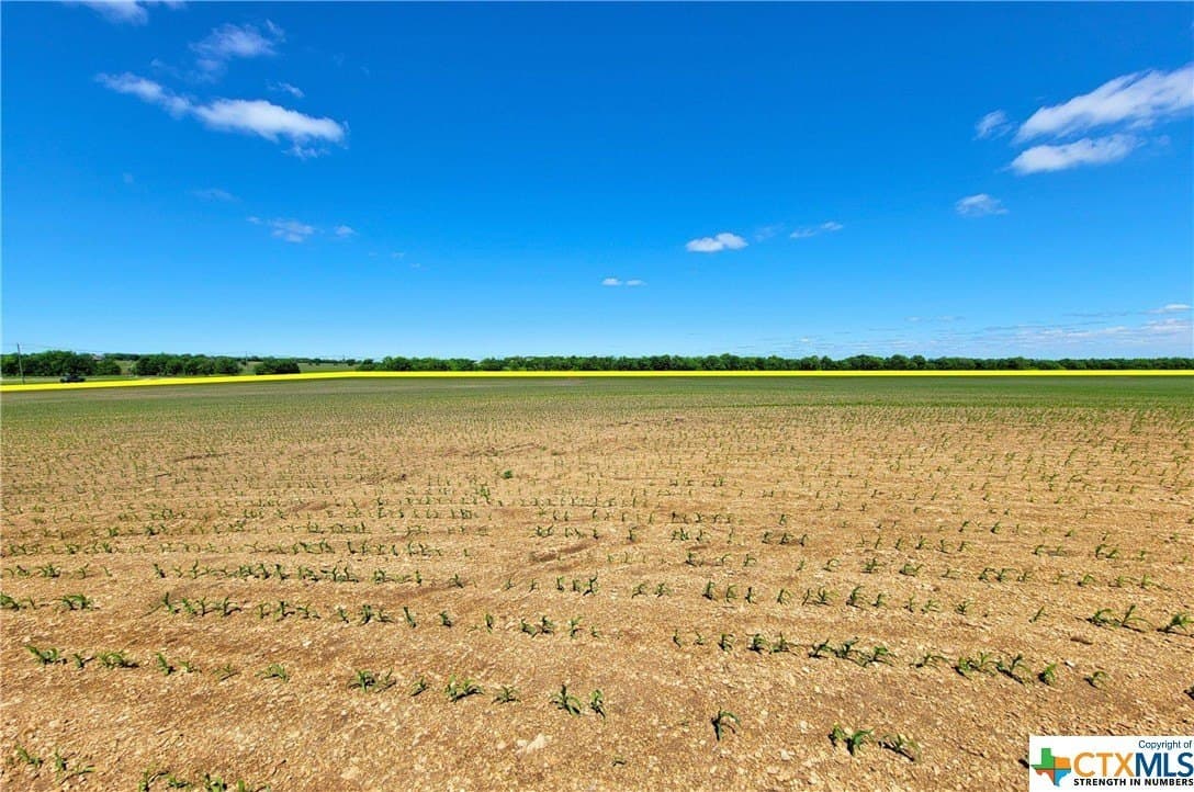 139.88 acres in McLennan County - photo 10