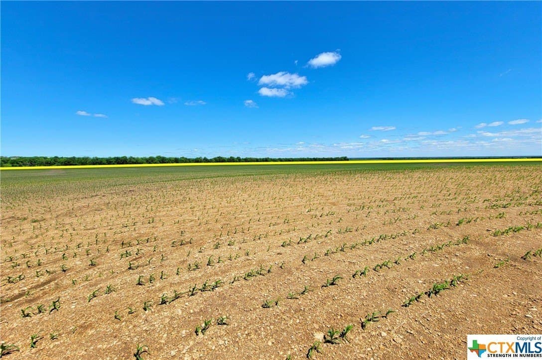 139.88 acres in McLennan County - photo 9