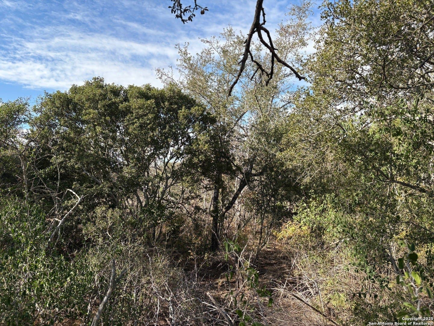 10.36 acres in Bexar County - photo 5