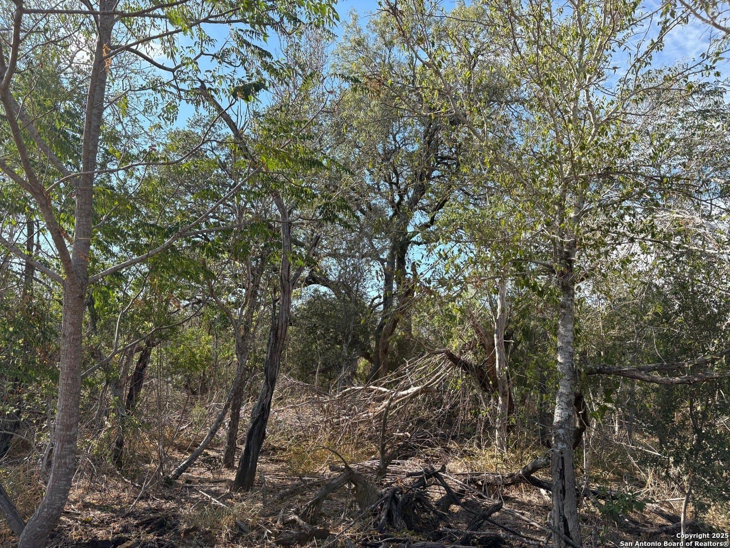 10.36 acres in Bexar County - photo 4