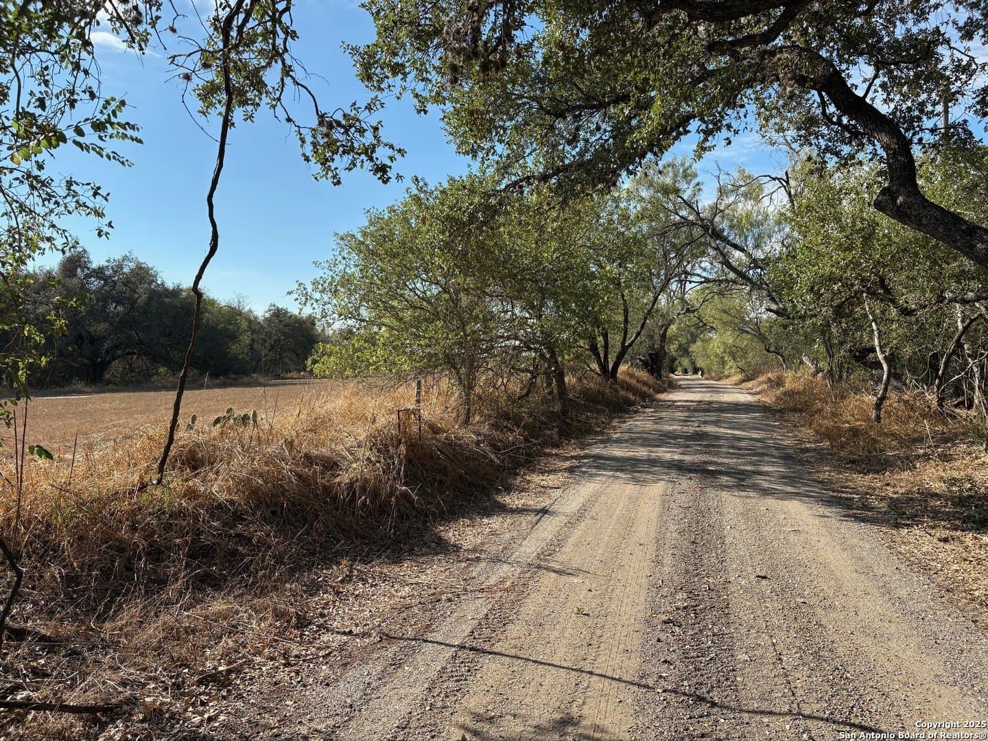 10.36 acres in Bexar County - photo 6