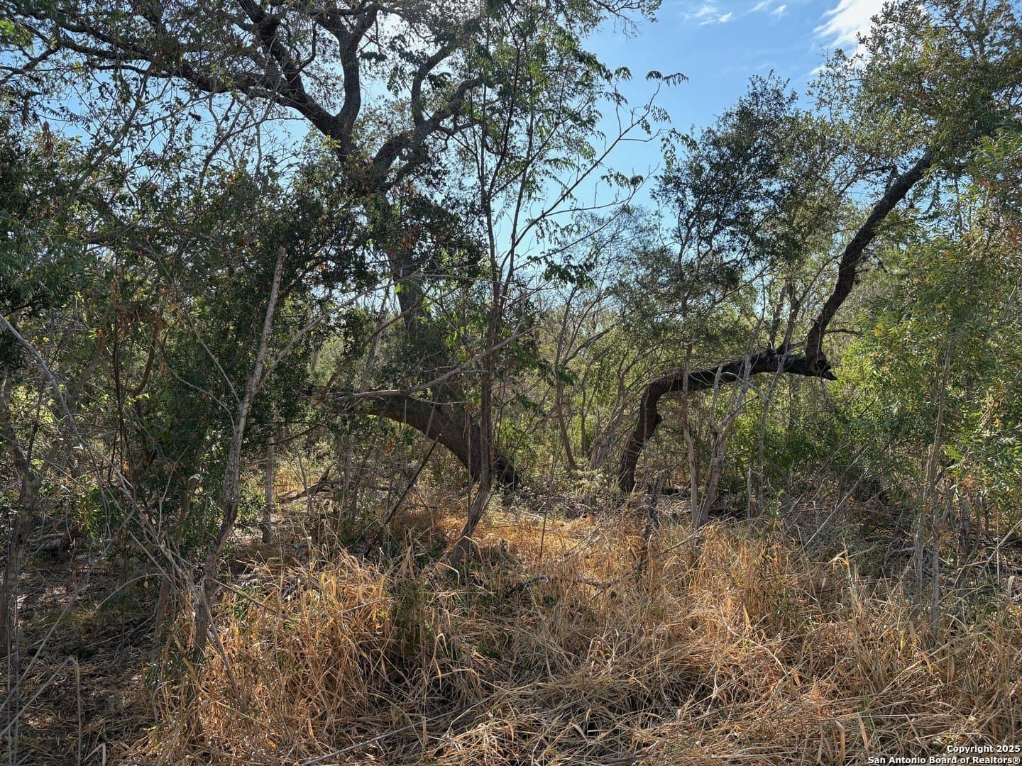 10.36 acres in Bexar County - photo 16