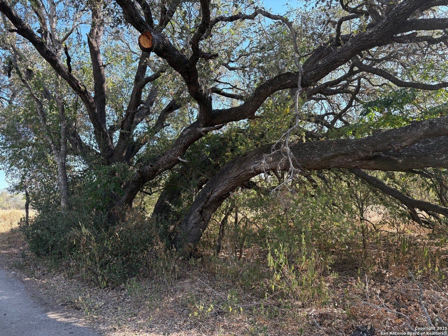 10.36 acres in Bexar County - photo 11