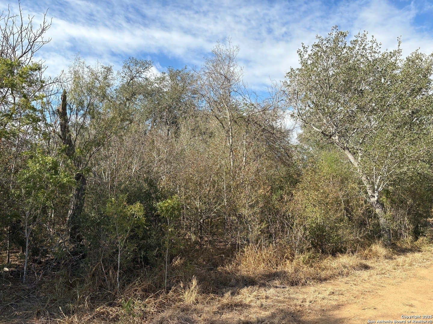 10.36 acres in Bexar County - photo 17