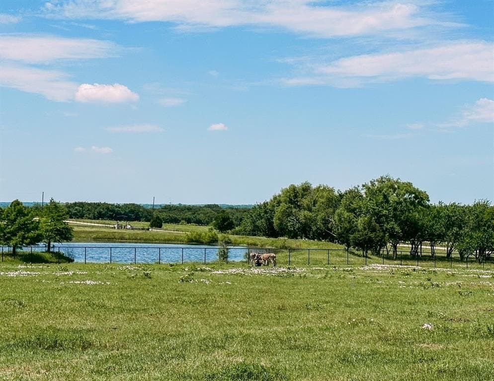 1 acres in Collin County - photo 5