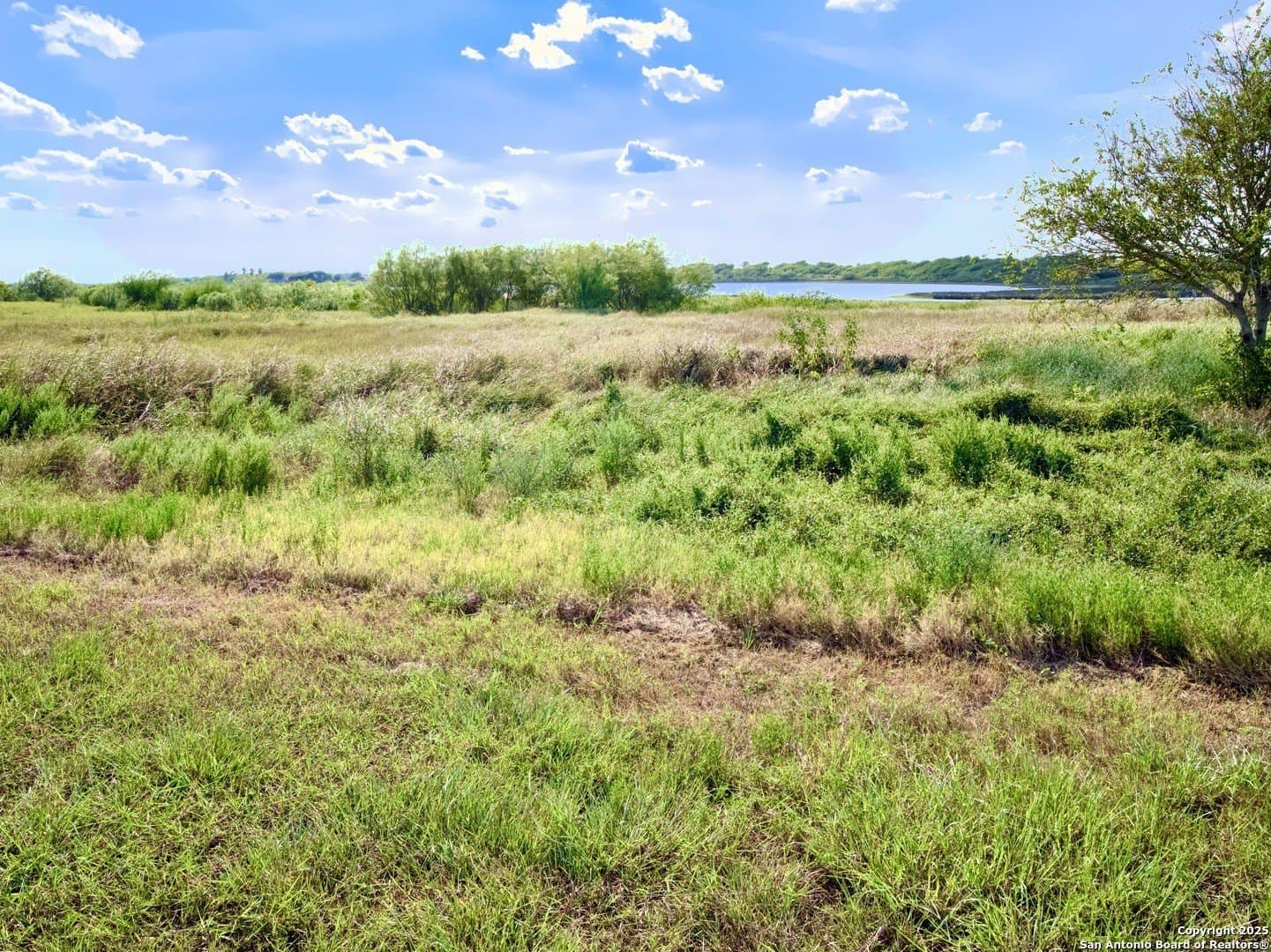 0.88 acres in Calhoun County - photo 17