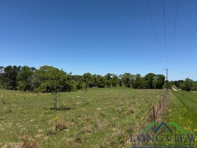 2 acres in Texas County - photo 4