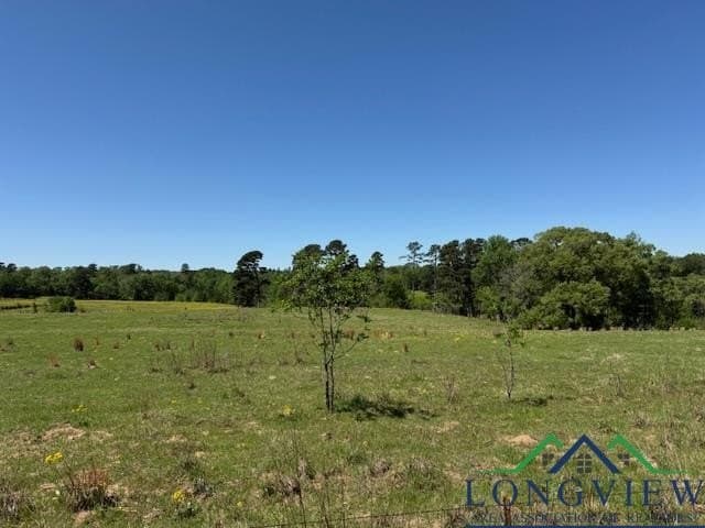 2 acres in Texas County - photo 3