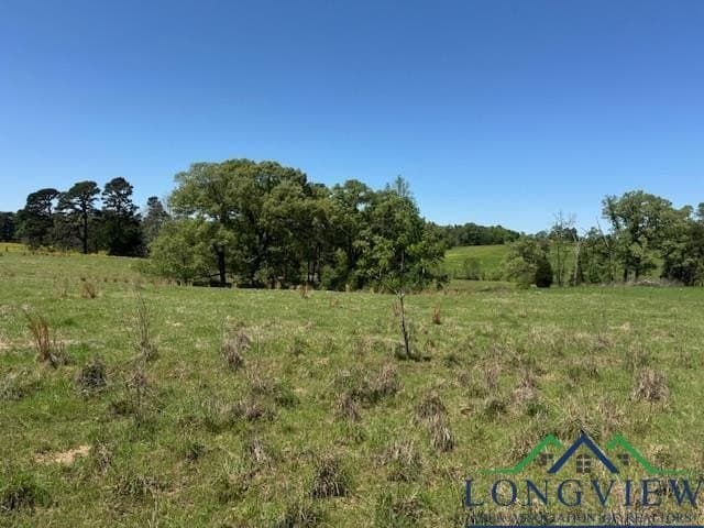 2 acres in Texas County - photo 8
