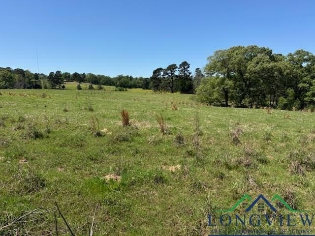 2 acres in Texas County - photo 6