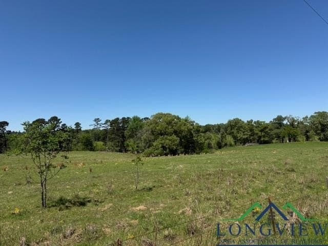 2 acres in Texas County - photo 2