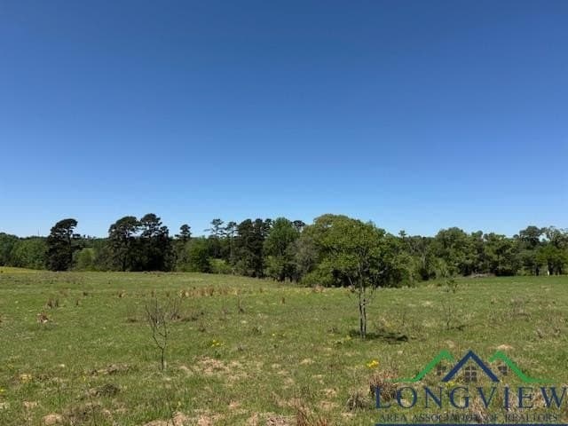 2 acres in Texas County - photo 5