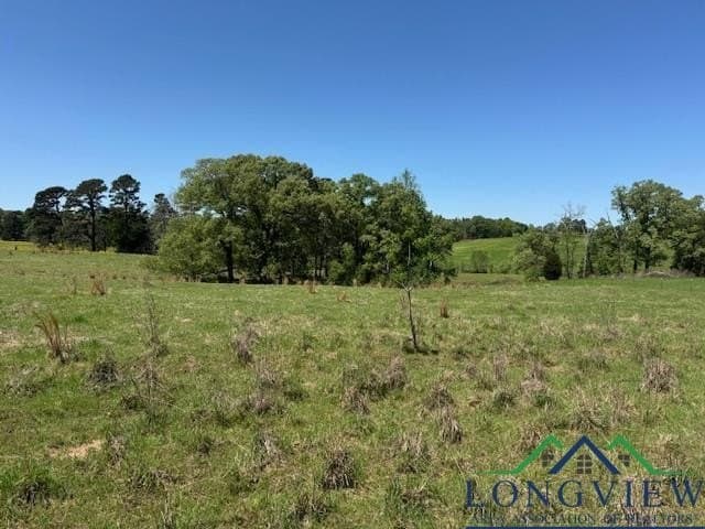 2 acres in Texas County - photo 7
