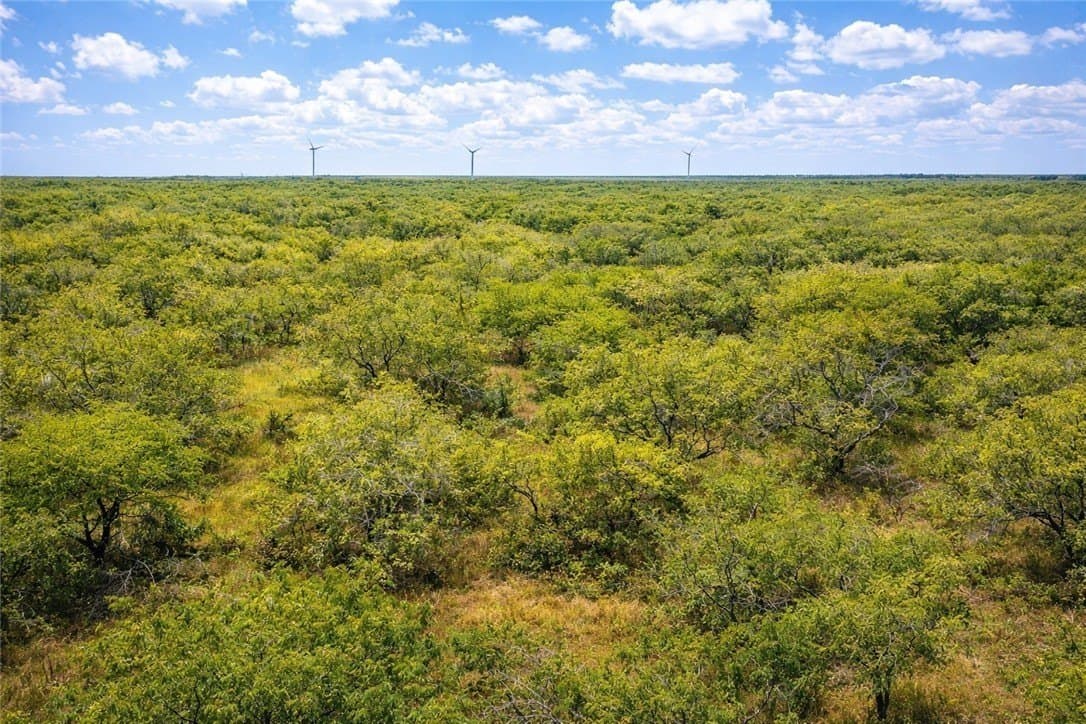 503 acres in Willacy County - photo 3