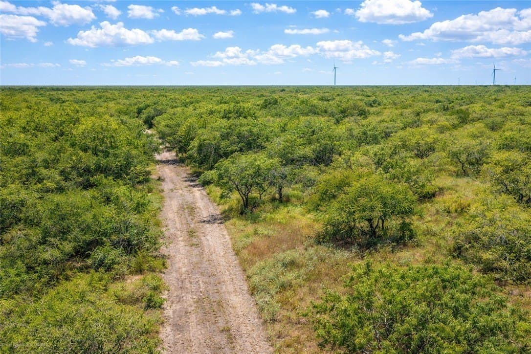 503 acres in Willacy County - photo 4
