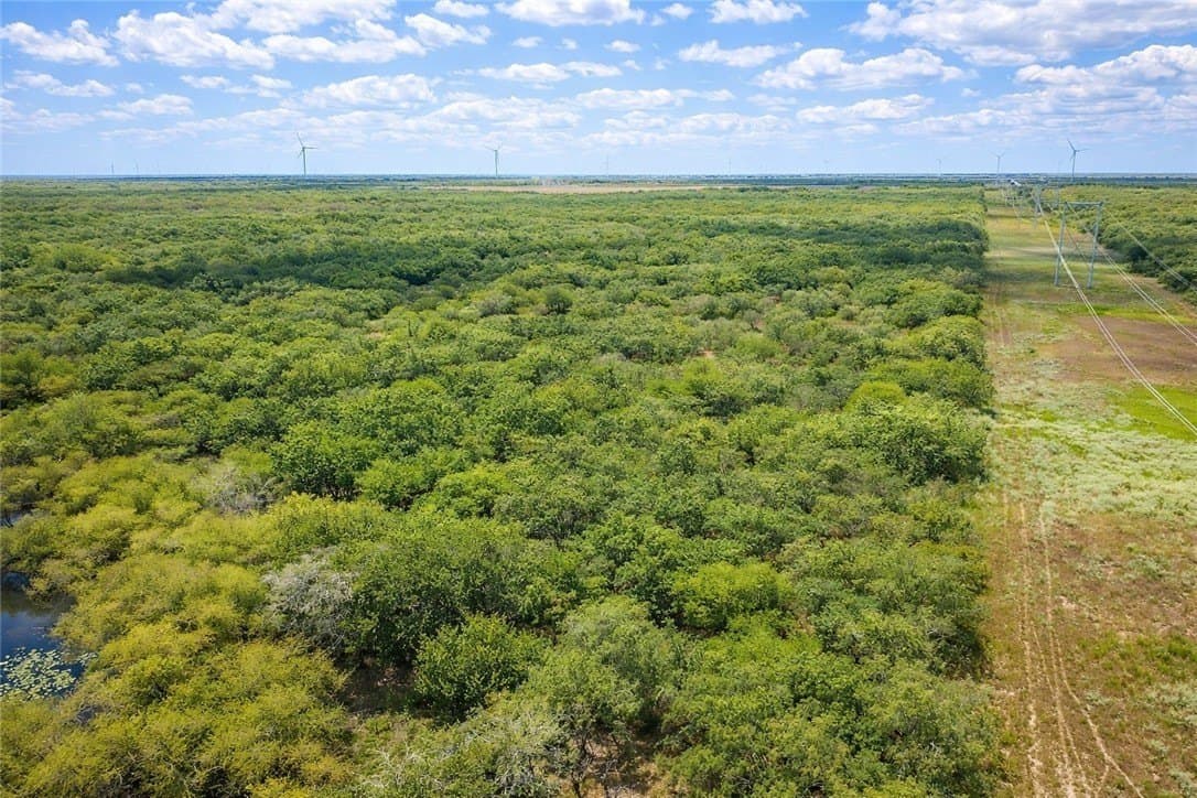 503 acres in Willacy County - photo 5