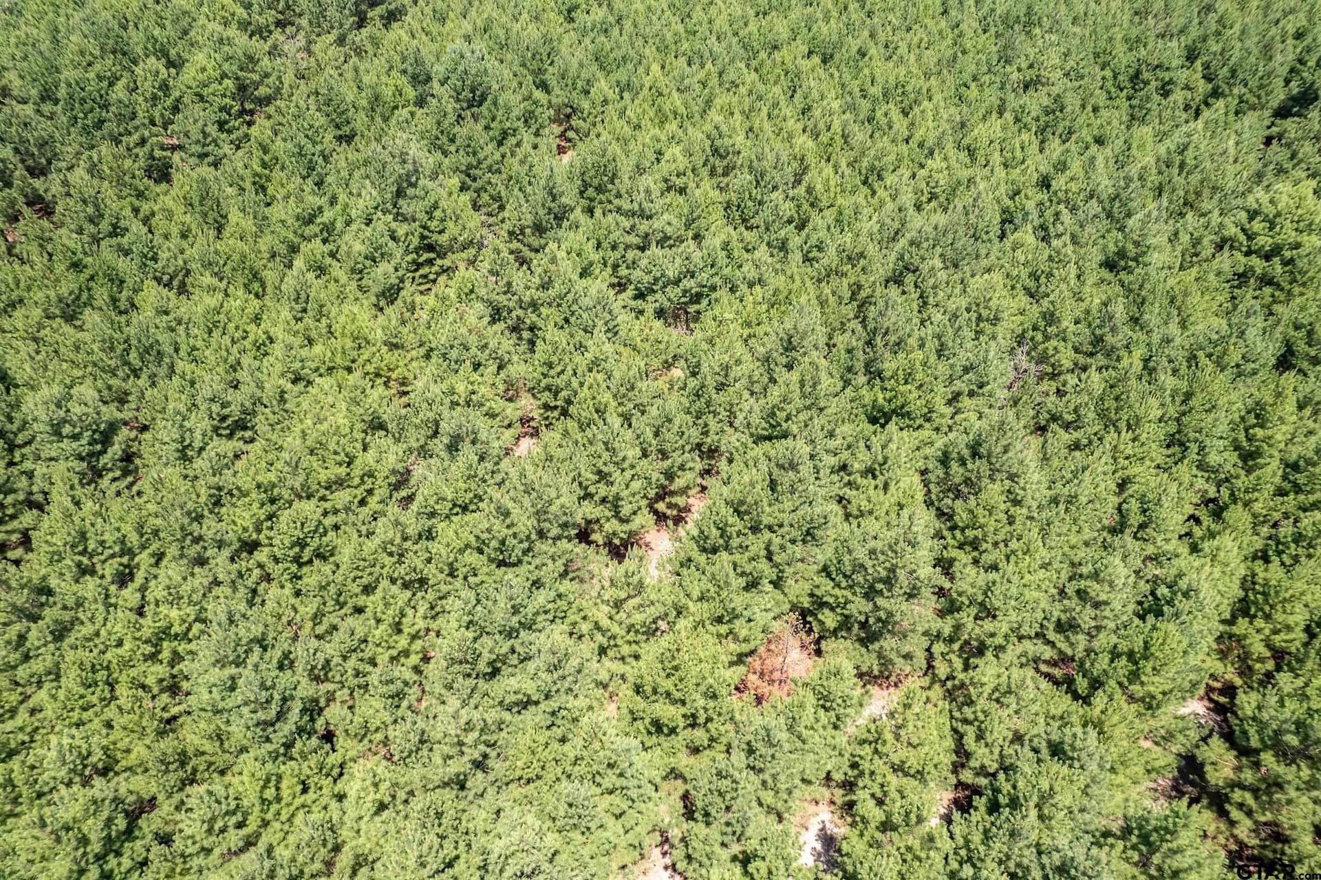 27.82 acres in Smith County - photo 32