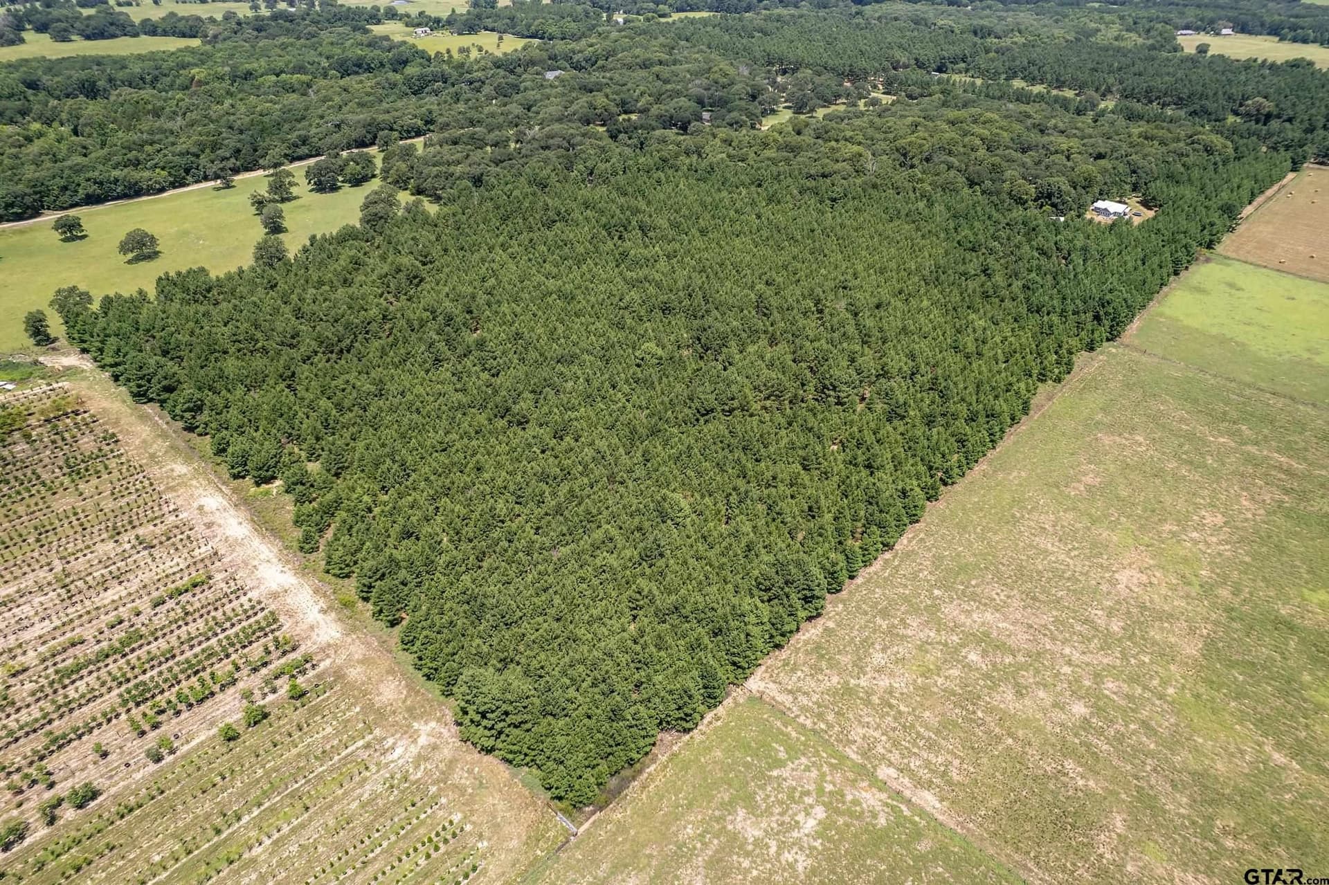 27.82 acres in Smith County - photo 11