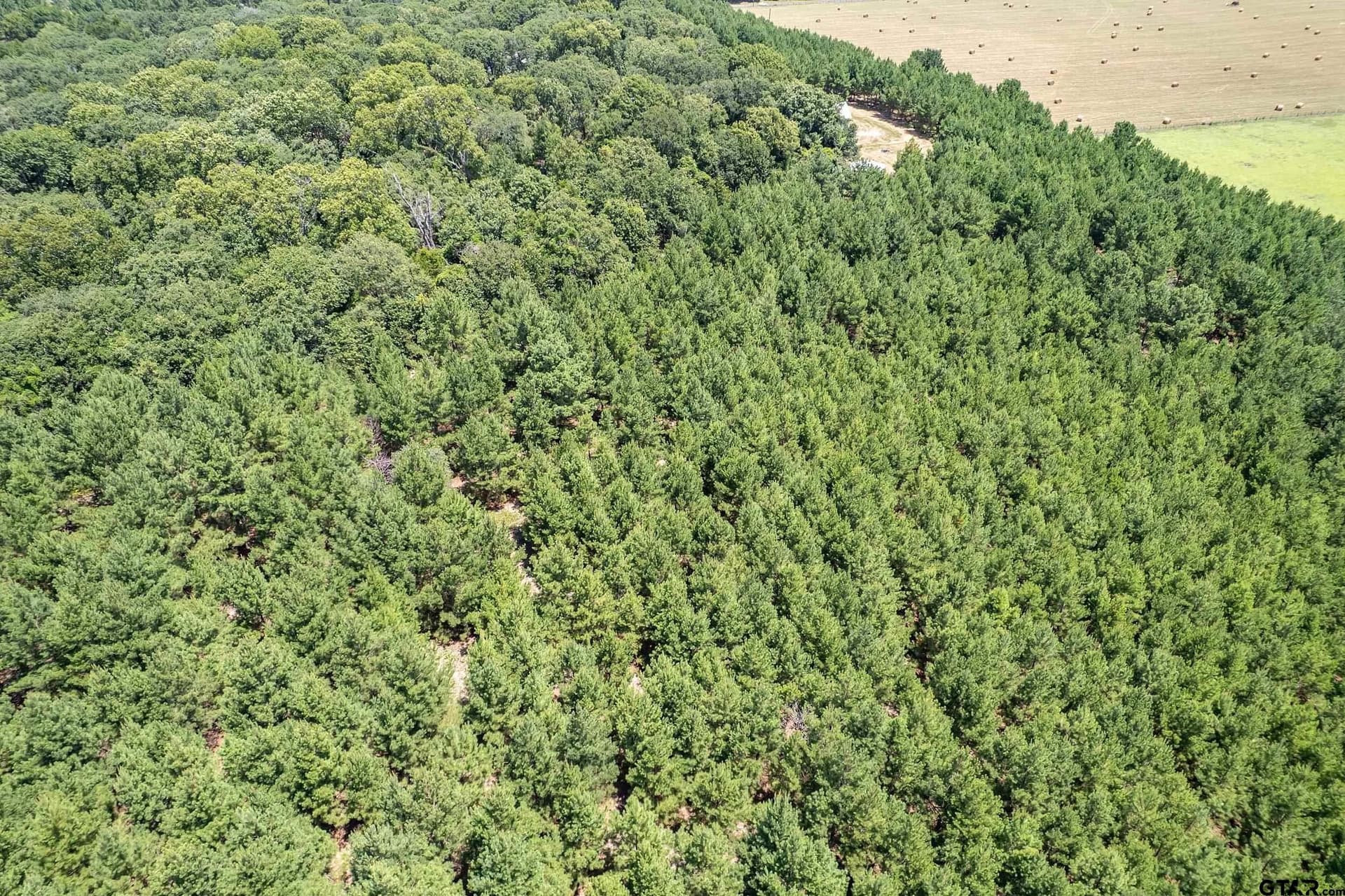 27.82 acres in Smith County - photo 33
