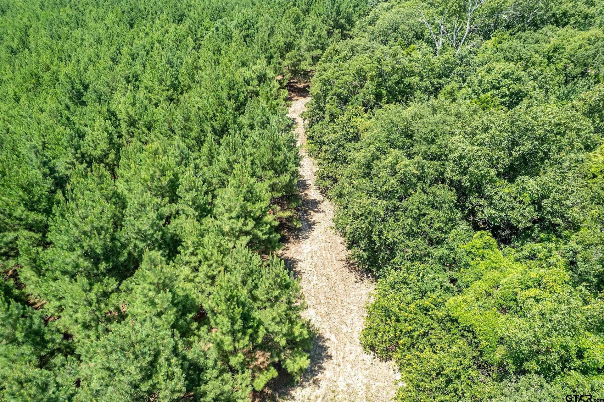 27.82 acres in Smith County - photo 9