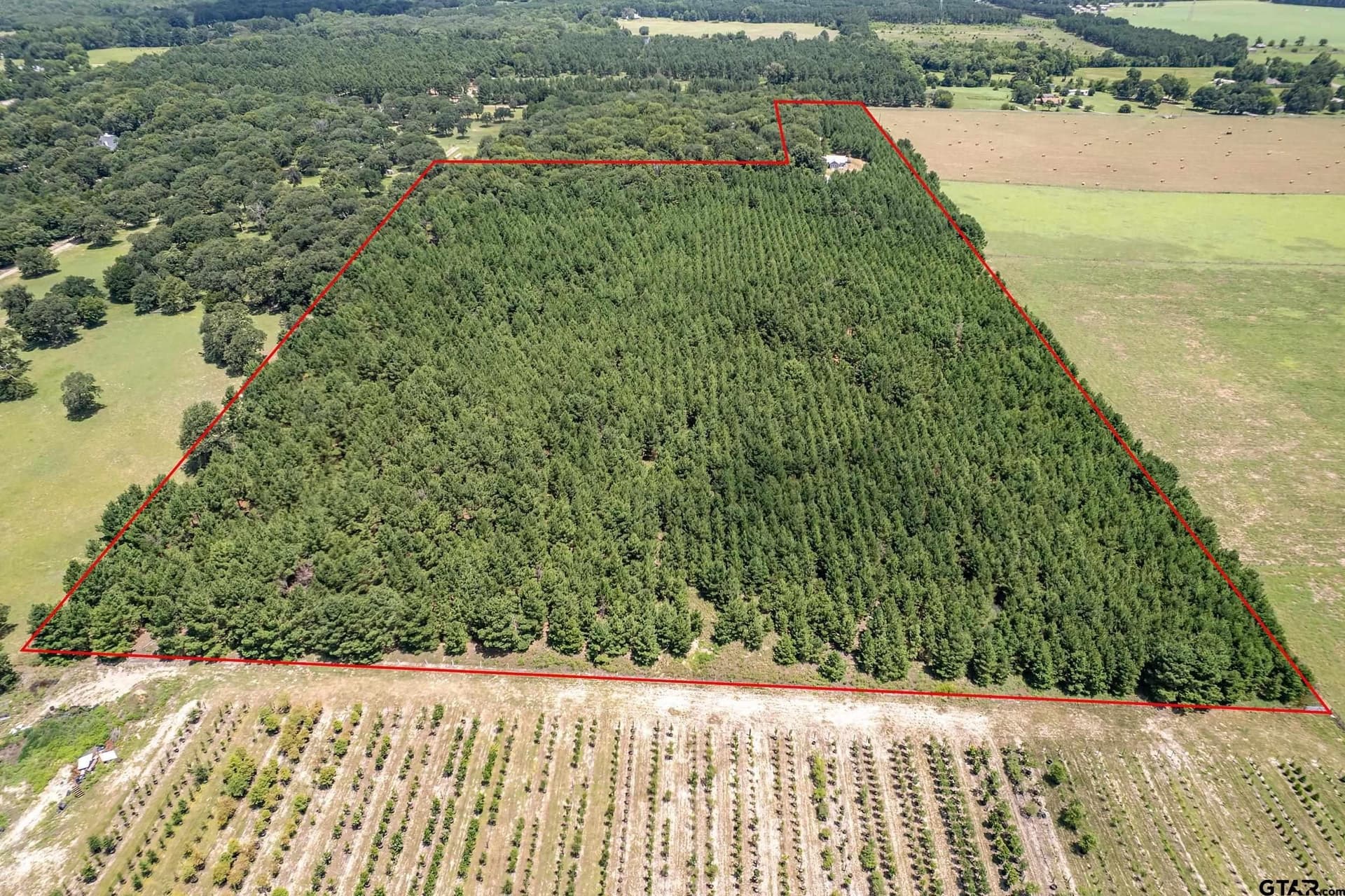 27.82 acres in Smith County - photo 13