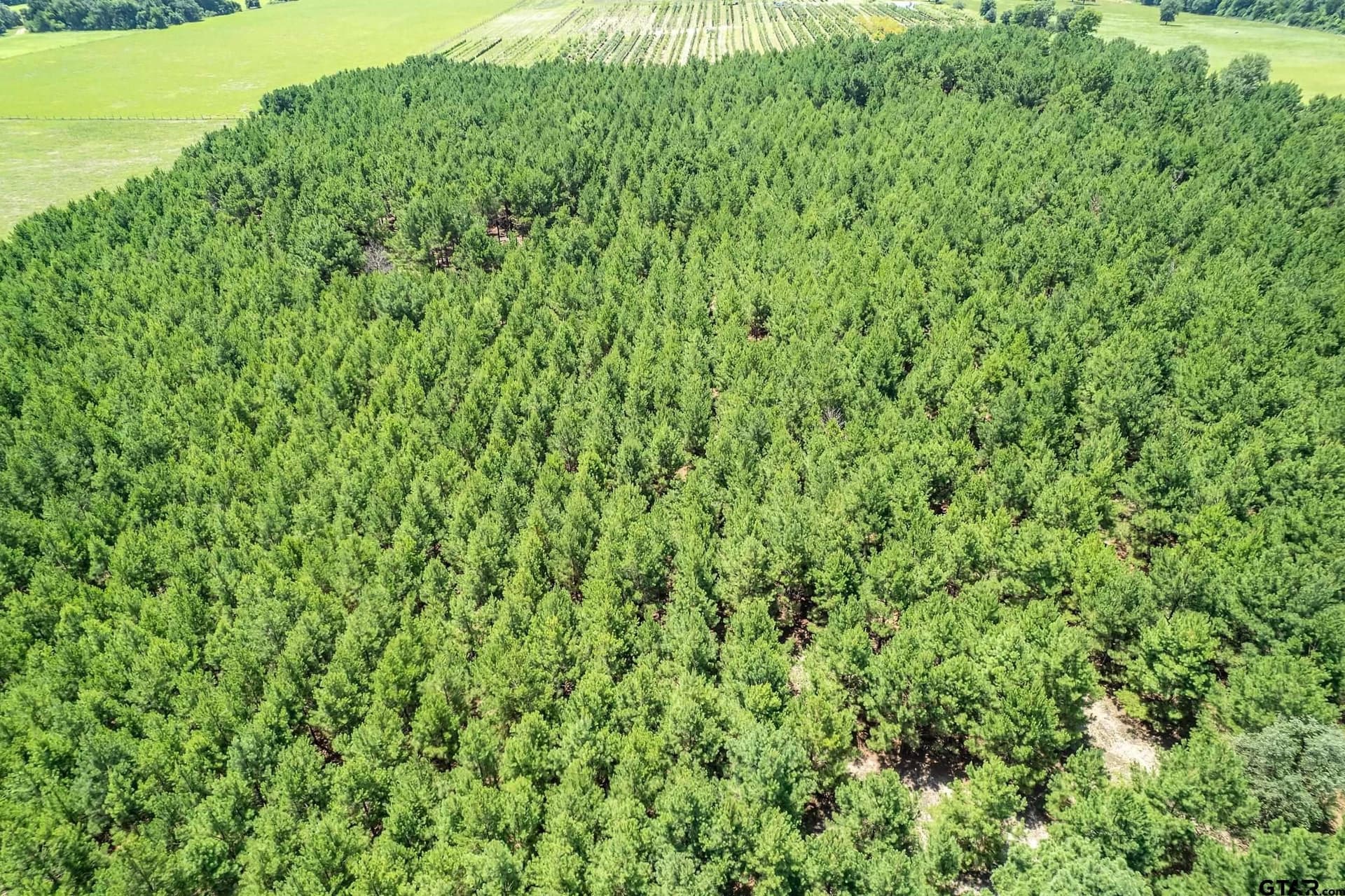 27.82 acres in Smith County - photo 8
