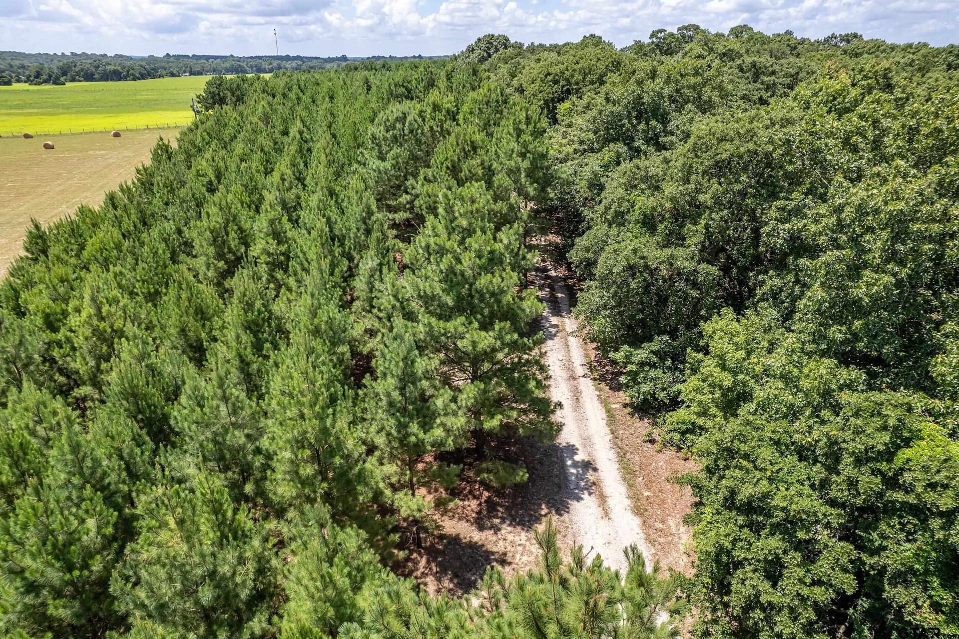 27.82 acres in Smith County - photo 6