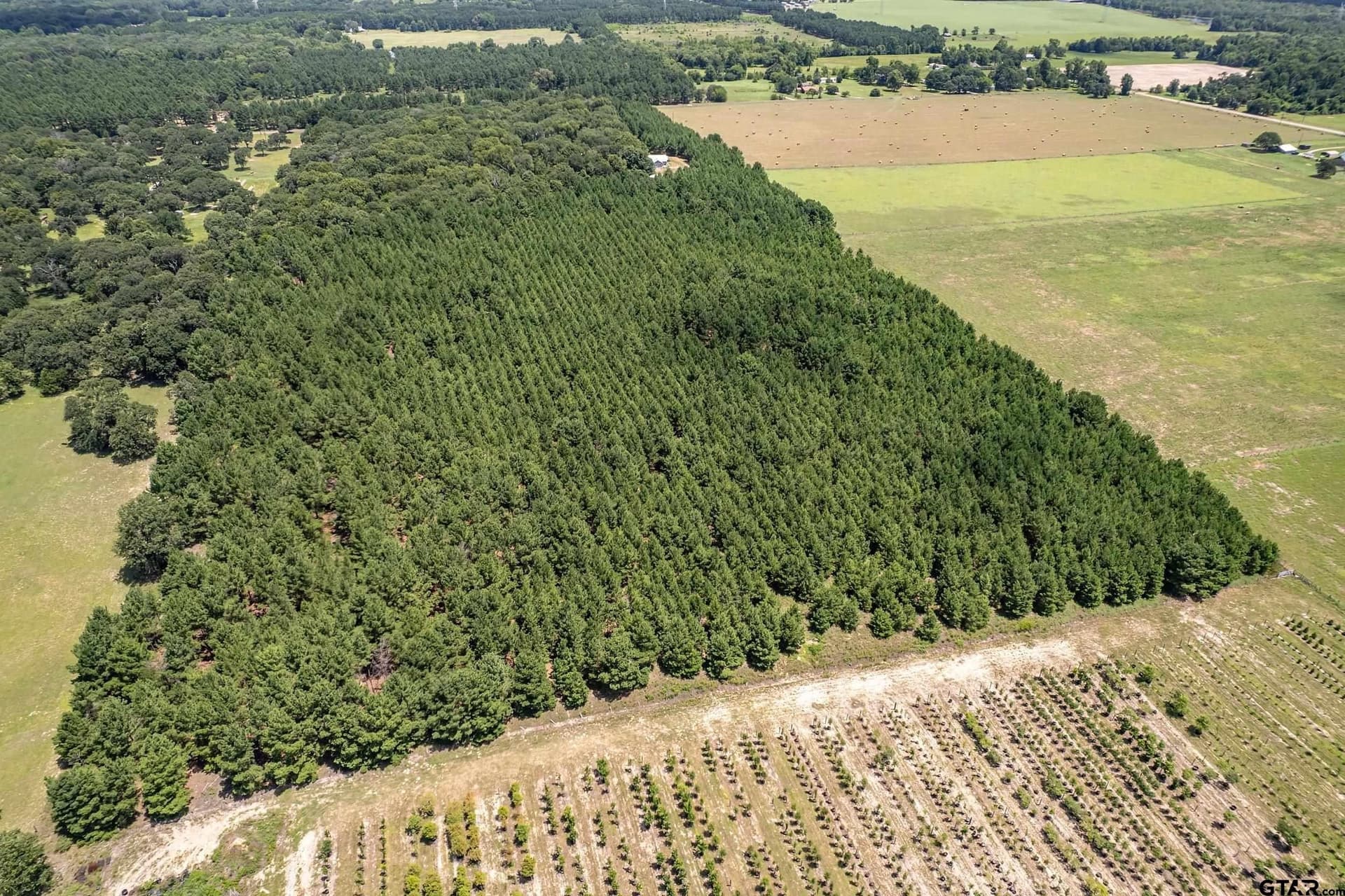 27.82 acres in Smith County - photo 30