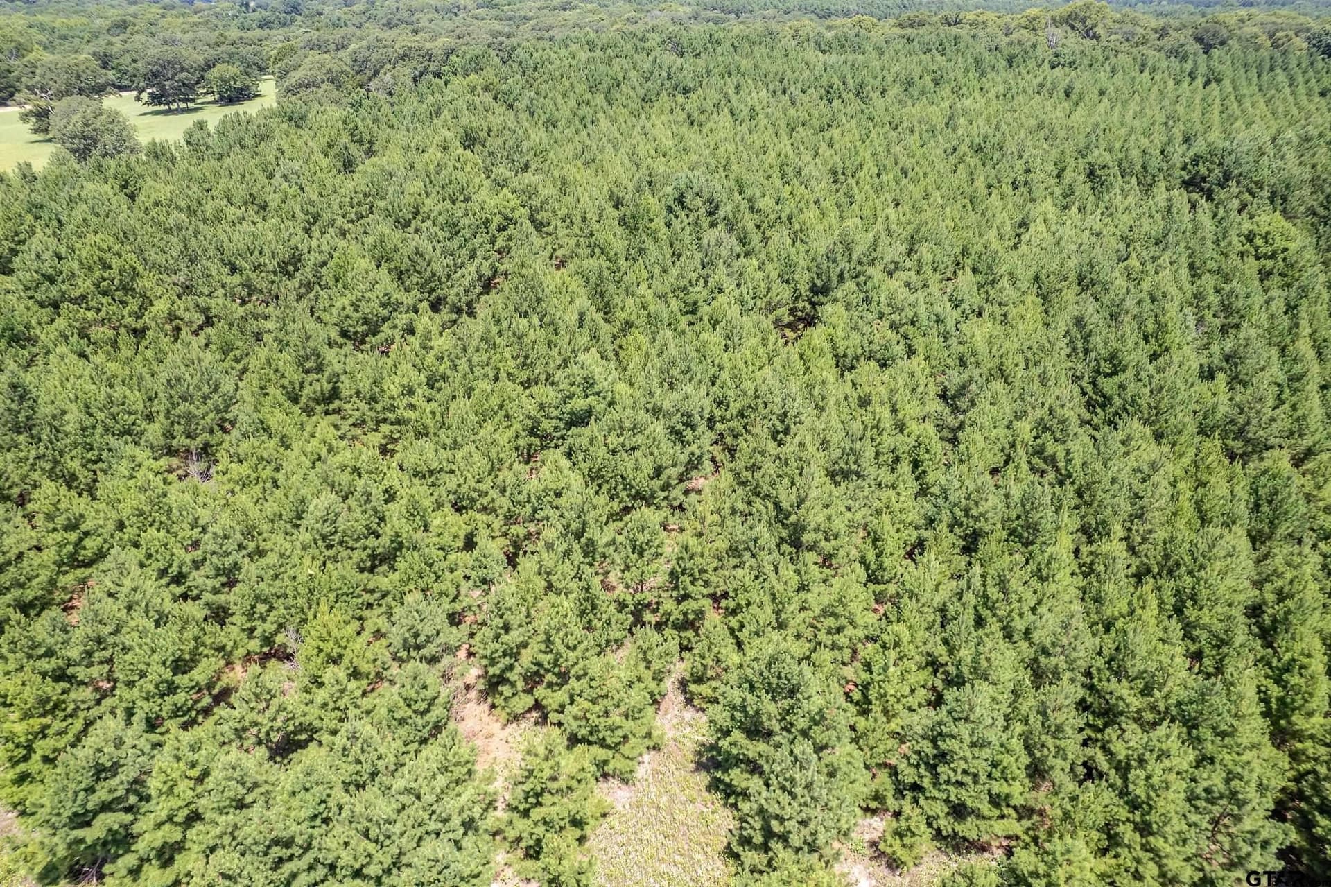 27.82 acres in Smith County - photo 31
