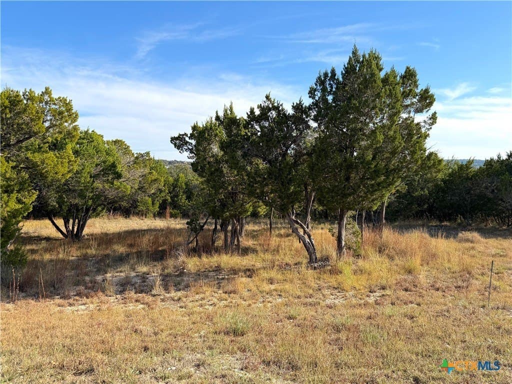 1.21 acres in Comal County - photo 2