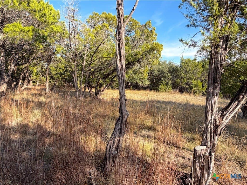 1.21 acres in Comal County - photo 3