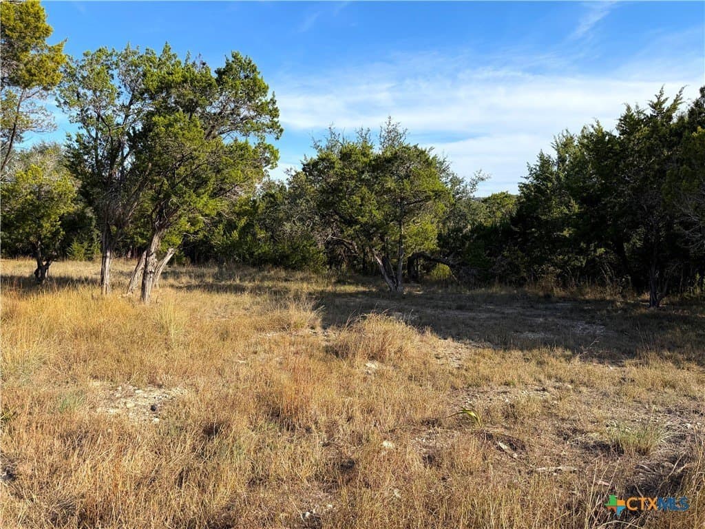 1.21 acres in Comal County - photo 6