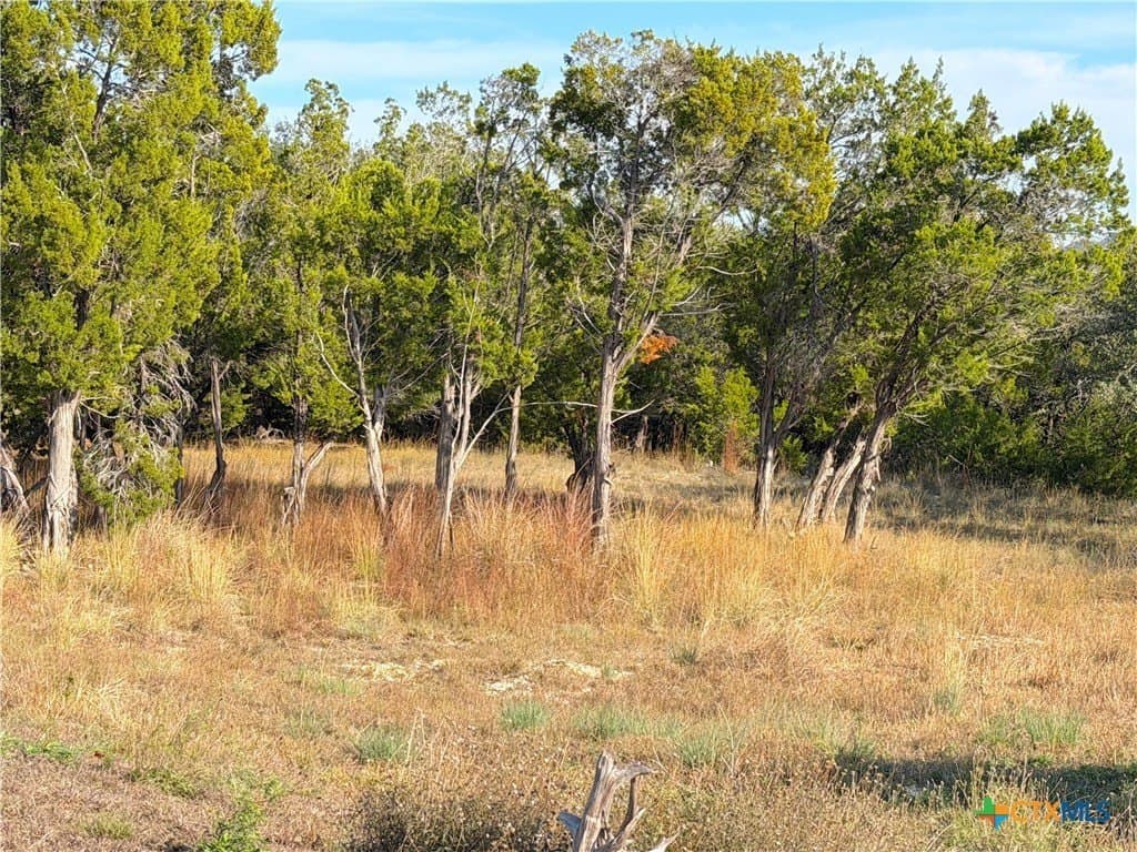 1.21 acres in Comal County - photo 4