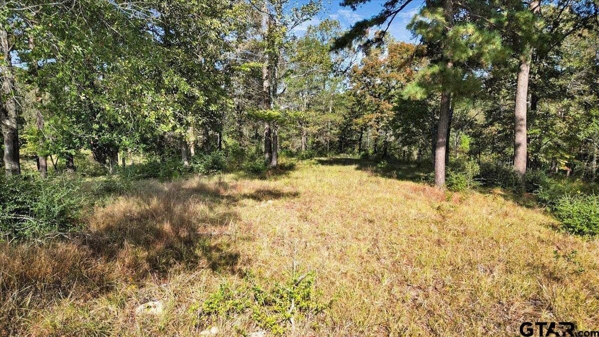 5.09 acres in Upshur County - photo 6