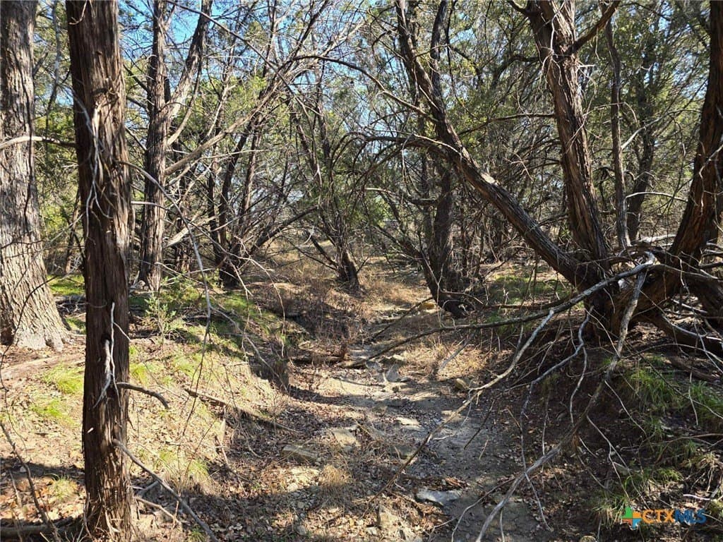 10.24 acres in Lampasas County - photo 20