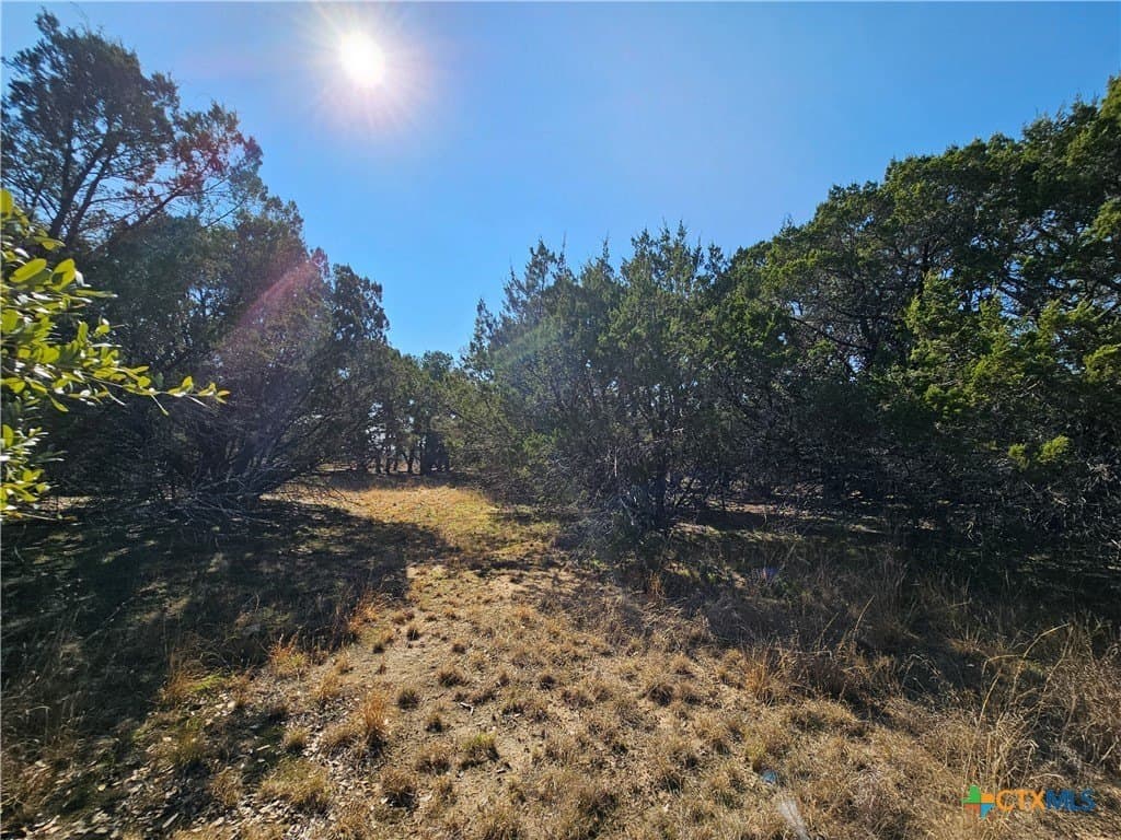 10.24 acres in Lampasas County - photo 8