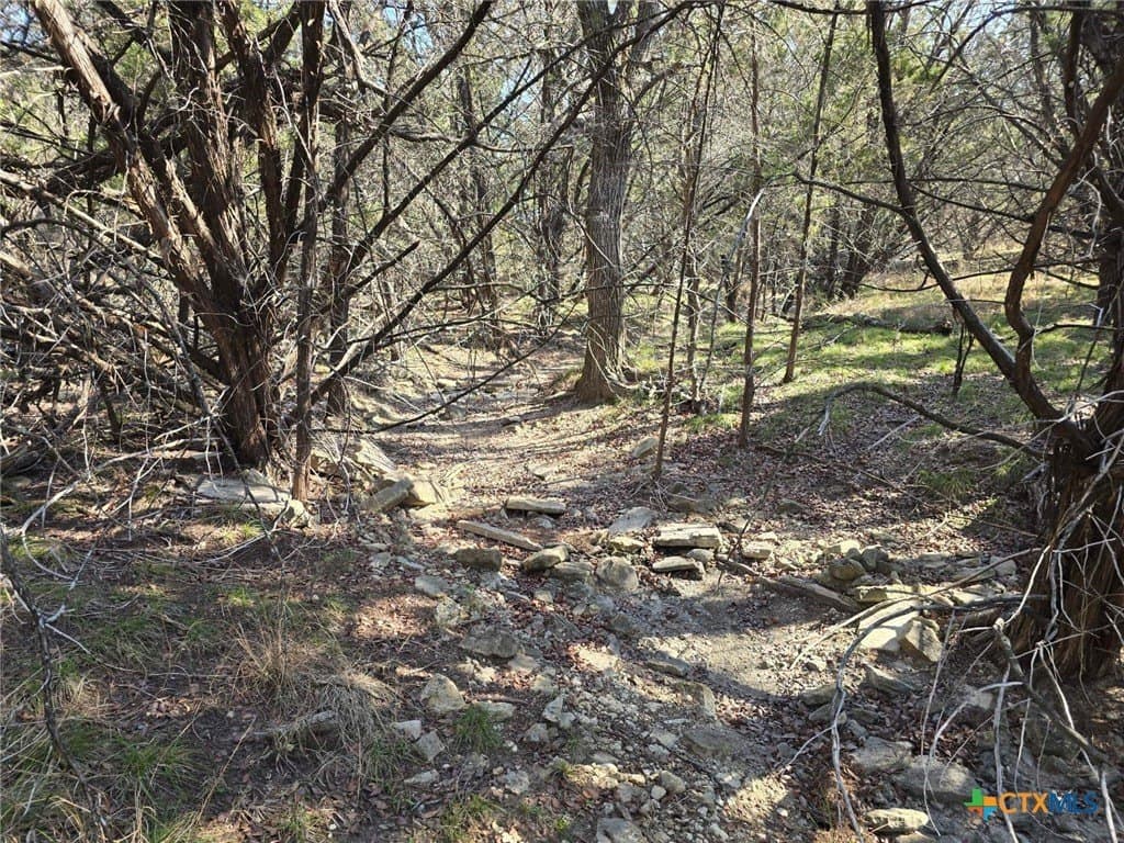 10.24 acres in Lampasas County - photo 14