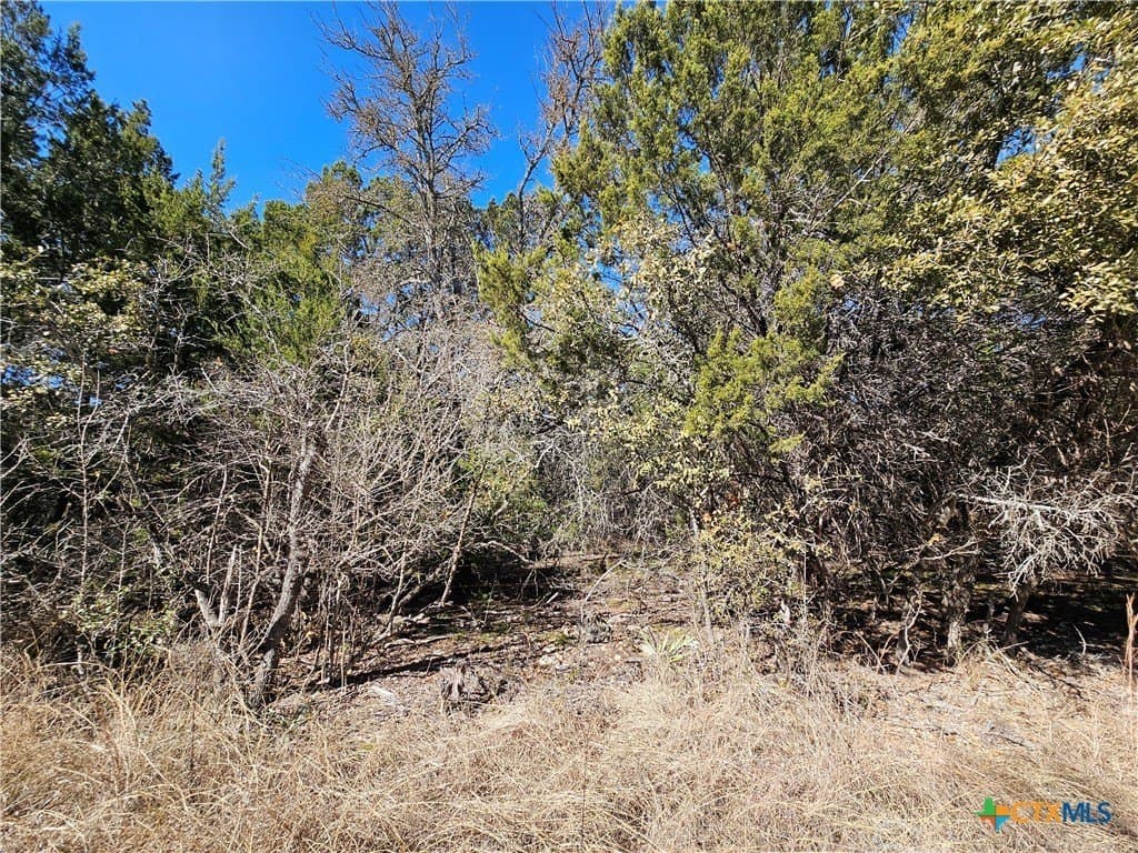 10.24 acres in Lampasas County - photo 7