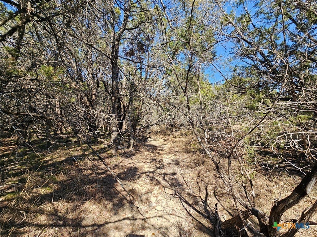 10.24 acres in Lampasas County - photo 11