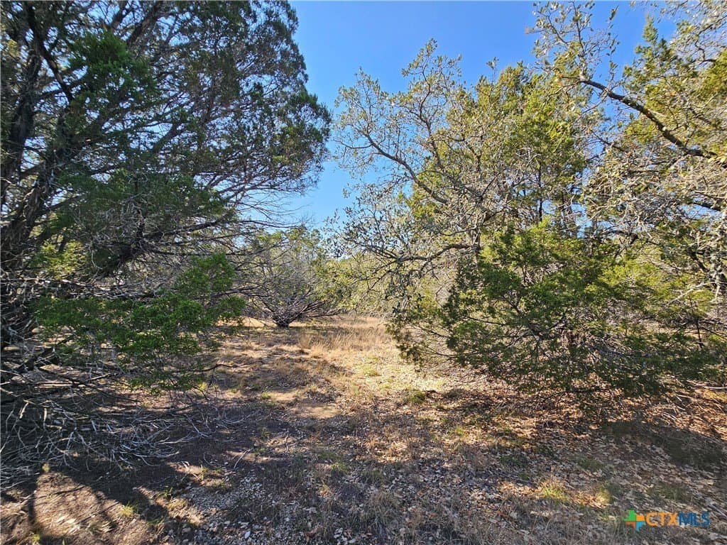 10.24 acres in Lampasas County - photo 9