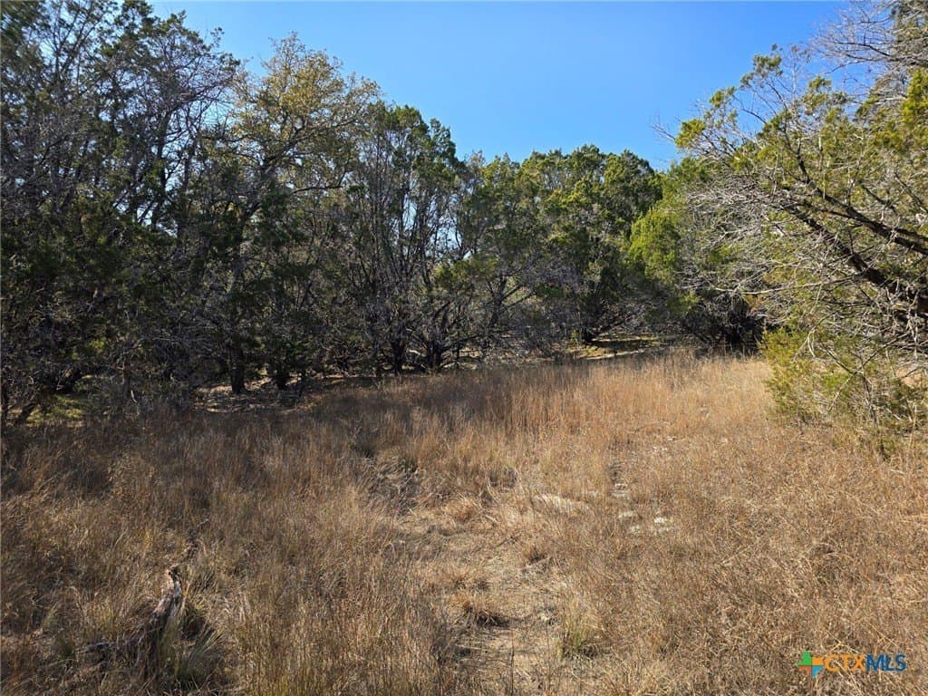 10.24 acres in Lampasas County - photo 17