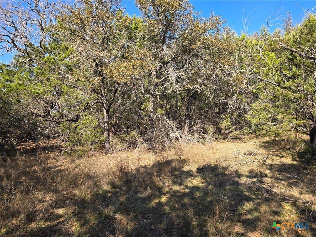 10.24 acres in Lampasas County - photo 16