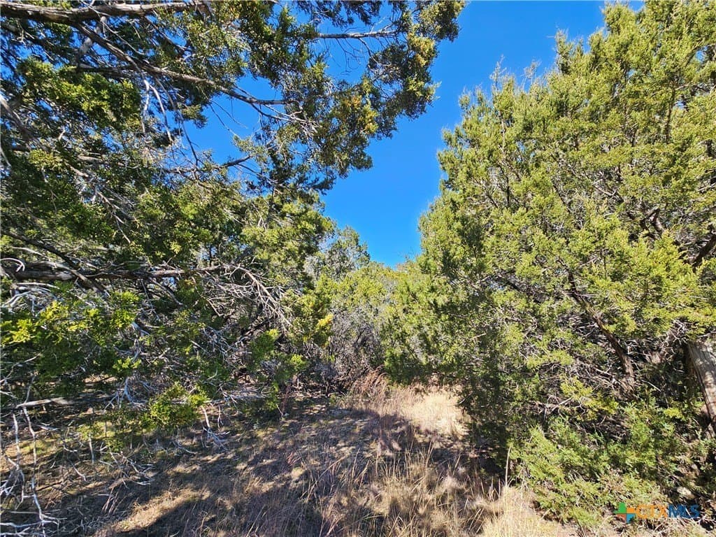 10.24 acres in Lampasas County - photo 3