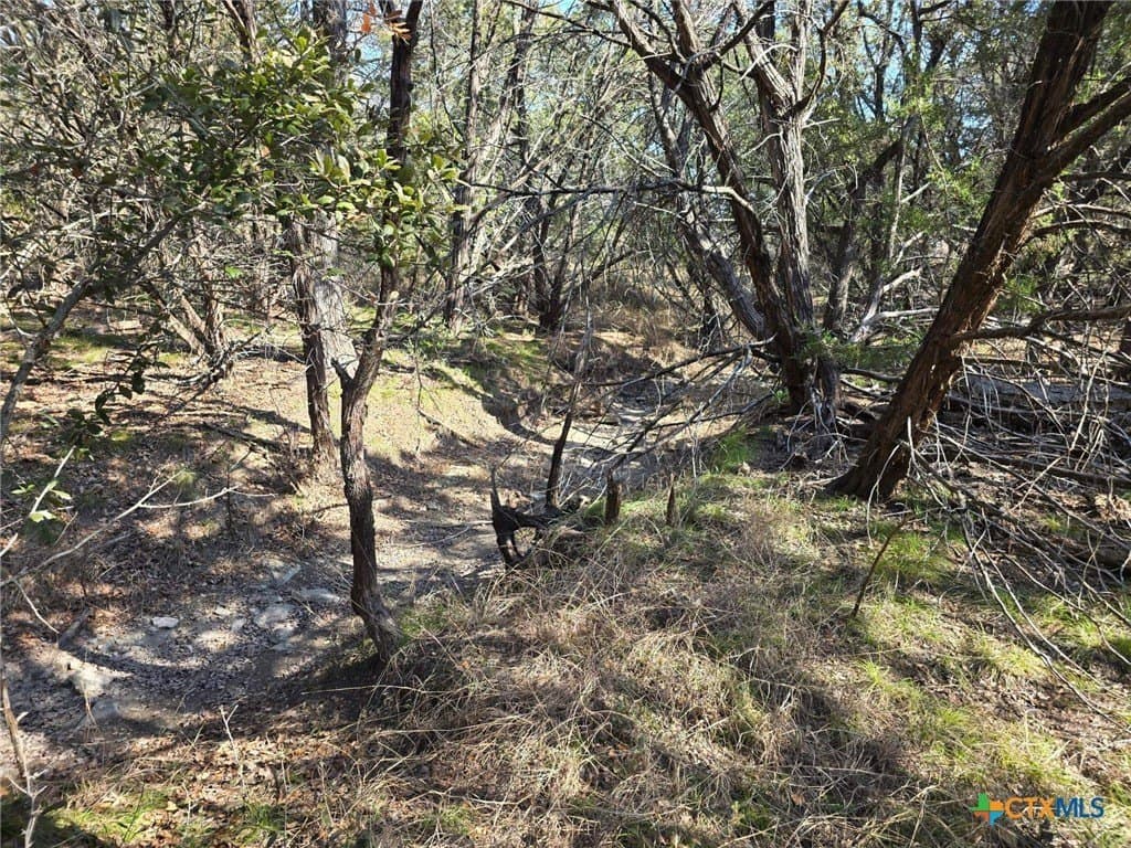 10.24 acres in Lampasas County - photo 21
