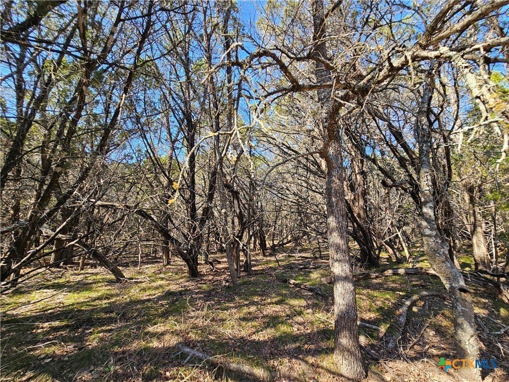 10.24 acres in Lampasas County - photo 12