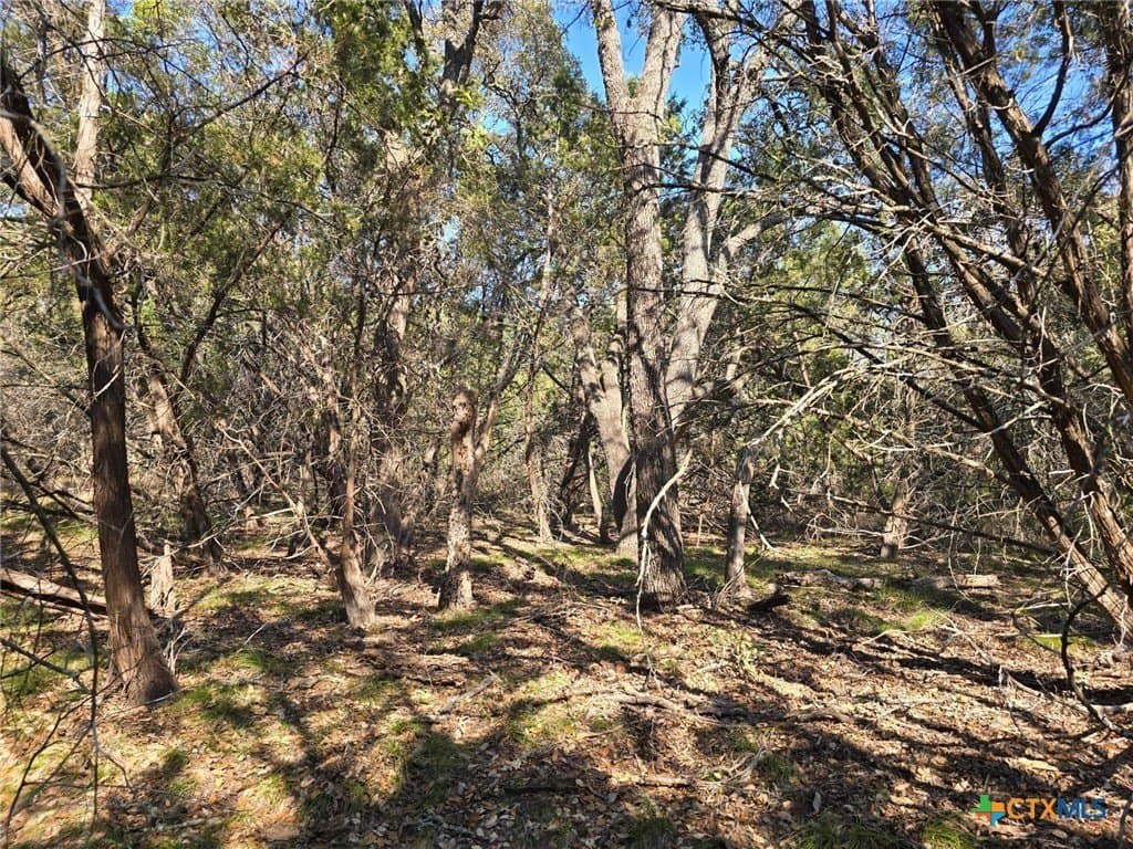 10.24 acres in Lampasas County - photo 15